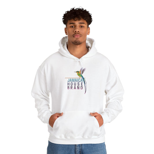 Sarcasm University Hooded Sweatshirt - Unisex Heavy Blend Hoodie, Funny Gift for Friends, Cozy Loungewear, Casual Style, Best for Birthdays